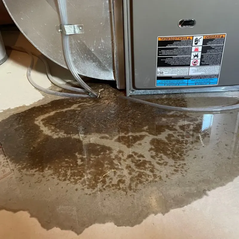 Pipe Burst and Leak Restoration in Elbridge, NY